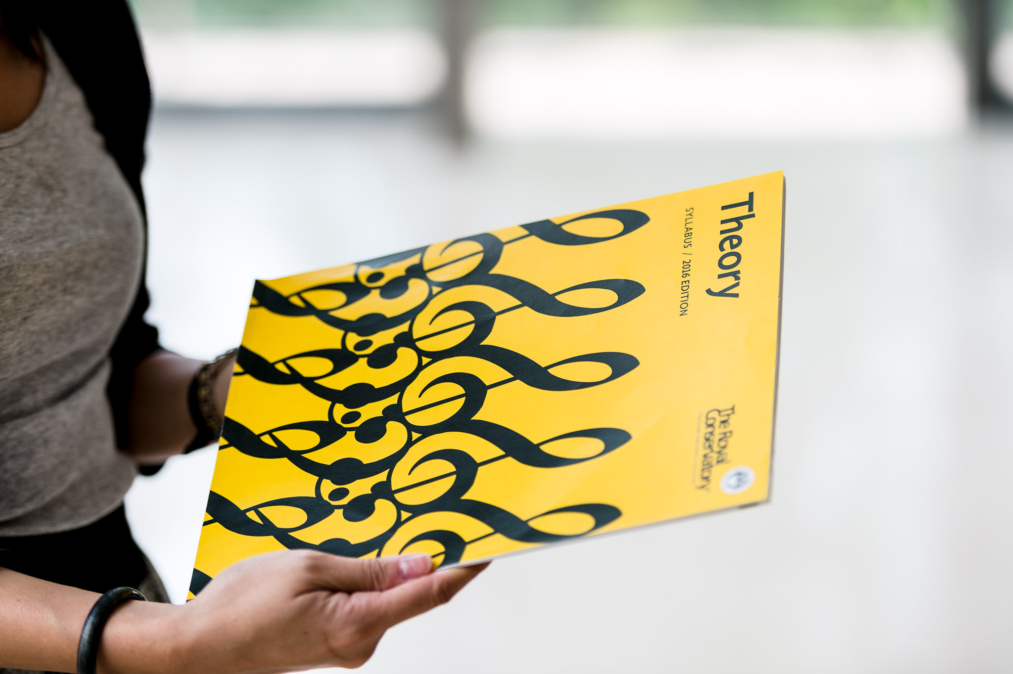 Theory Levels 5-8 book cover